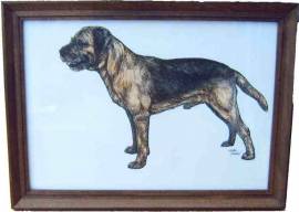 Border Terrier, original Zeichnung - Bild vergr��ern 