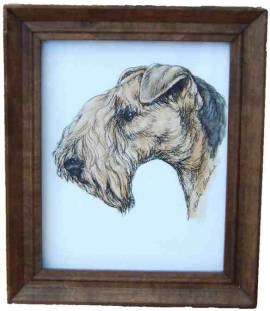 Lakeland Terrier, original Zeichnung - Bild vergr��ern 
