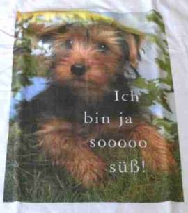 T-Shirt XL mit Terrier-Welpen - Bild vergrern 