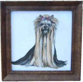 Yorkshire Terrier, original Zeichnung - Bild vergr��ern 