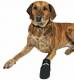 Hundeschuh/Stiefel Gr. S