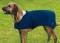 Hundemantel T-Coat blau oder rot